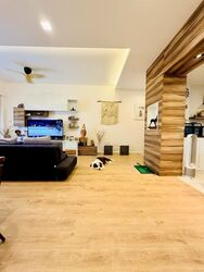 Dover Parkview (D5), Condominium #497929281